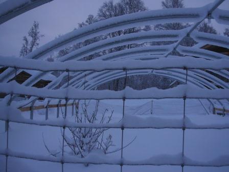 Our high tunnel without the plastic