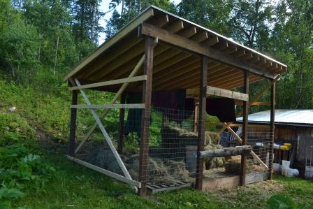 New hayshed