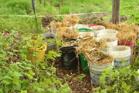 Manure buckets delivered to Karen's