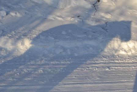 Tinni's_shadow