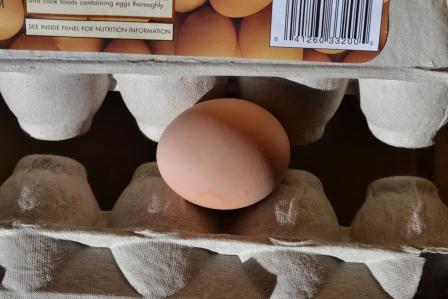 egg_and_two_cartons