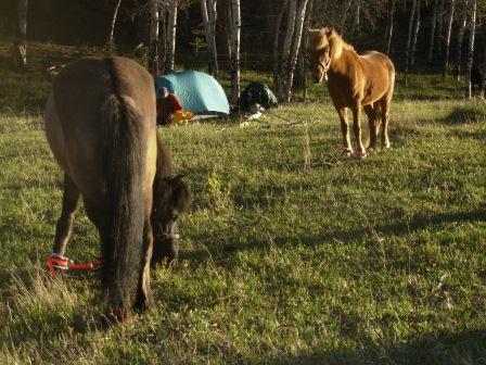 First campsite
