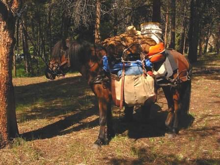 Signy packed up at Mt. Massive Trailhead