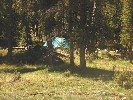 Taylor Park Campsite
