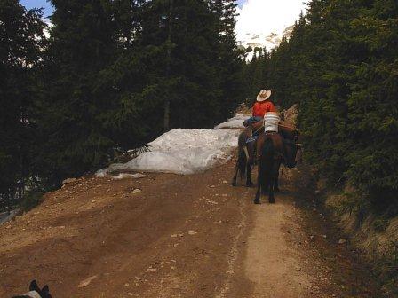 Cumberland Pass Road