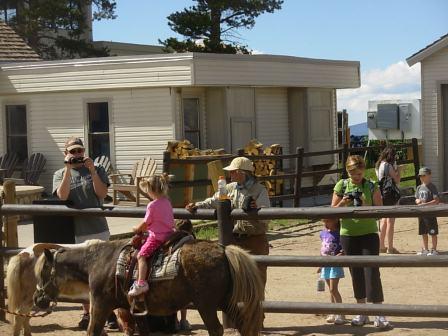 Eagle's Nest pony rides