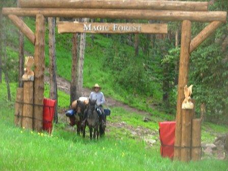 Magic Forest - Vail ski slopes