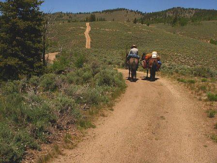 The road that makes no sense
