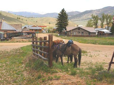 Horses tied in Sargents